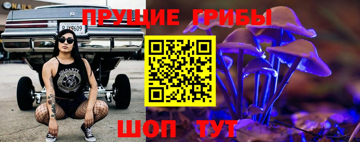Галлюциногенные грибы GOLDEN TEACHER  Вход с VPN  Гулькевичи 